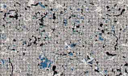 ms99-6044_confederategrey