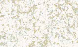 ms99-6059_wintersage