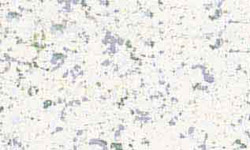 ms99-6061_partlycloudy