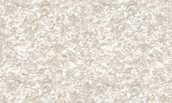 ms99-6913_ancientivory