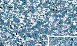 ms99-7203-montaukblue