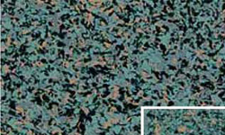 ms99-7206-coppernugget